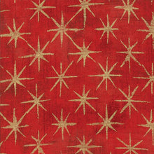 Load image into Gallery viewer, Grunge Metallics Seeing Stars Cherry SKU 30148 23M