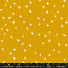 Load image into Gallery viewer, Starry Goldenrod SKU RS4006 22