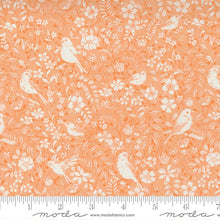 Load image into Gallery viewer, Lady Bird Birdie Cantaloupe SKU 11873 19