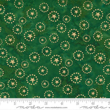 Load image into Gallery viewer, Felicity Batiks Stars Metallic Pine SKU 27311 173M