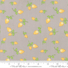 Load image into Gallery viewer, Sundrops Rosebuds Taupe SKU 29012 24