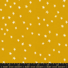 Load image into Gallery viewer, Starry Goldenrod SKU RS4006 22